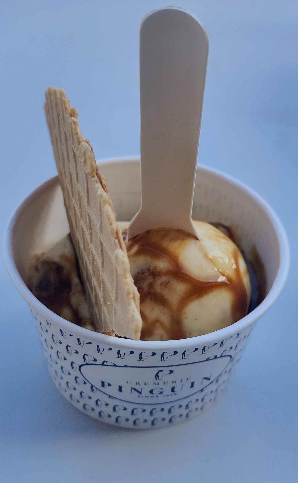Branded Pinguin ijsbakje met karamel en wafelrol